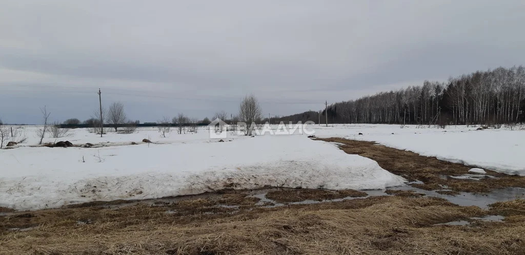 Собинский район, село Черкутино,  земля на продажу - Фото 4