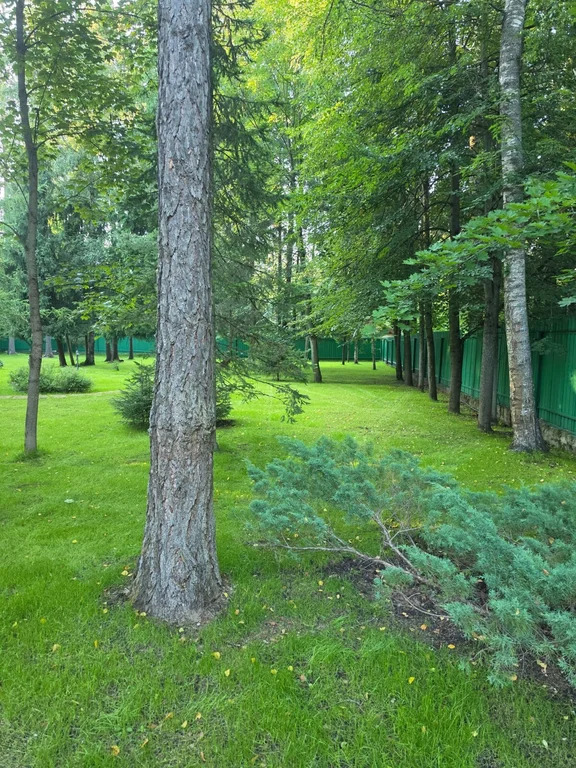 Продажа дома, Трудовая, Мытищинский район, Садовый проезд - Фото 9