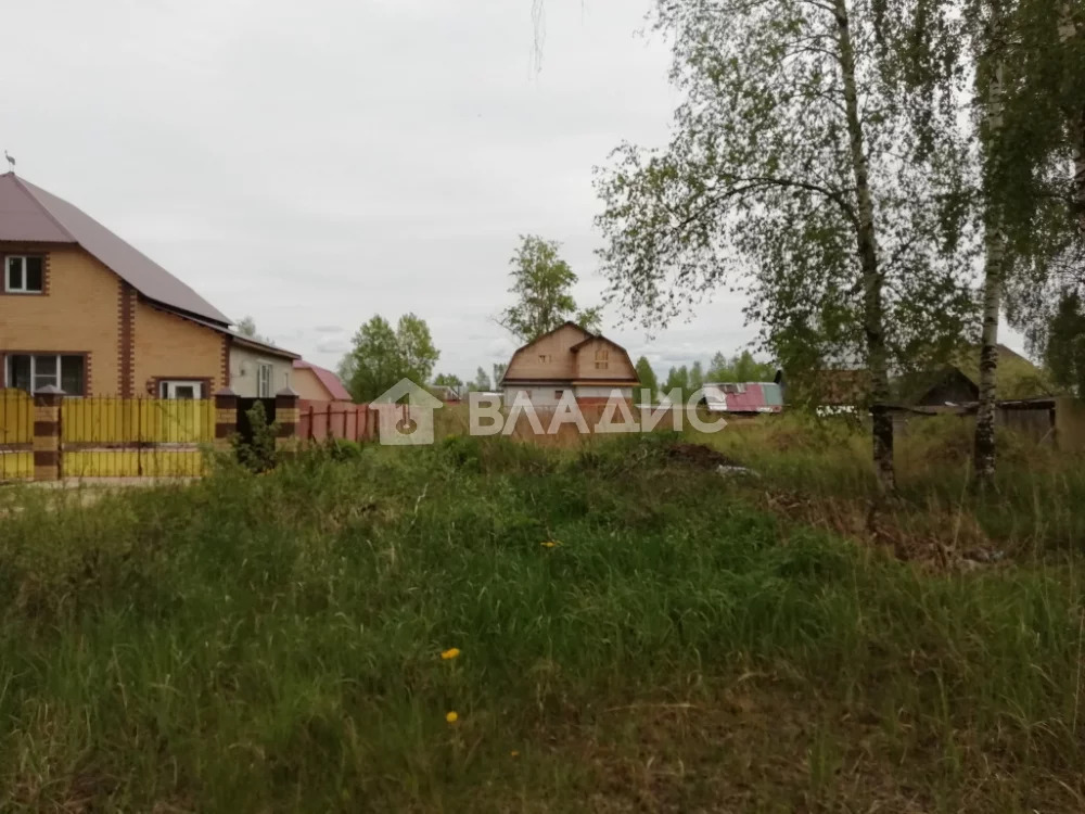 гусь-хрустальный владимирская область. гусь-хрустальный ул добролюбова д 6. владимирская область, гусь-хрустальный, ул. город гусь хрустальный музей. гусь-хрустальный, ул.