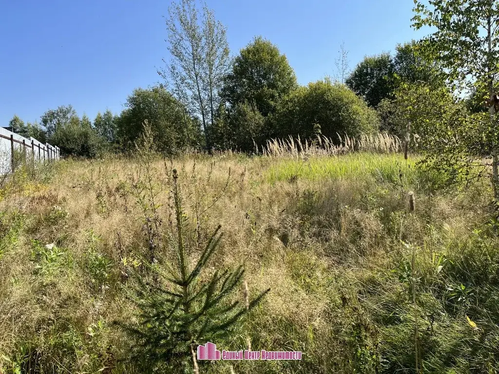 Участок 15 сот, д. Бородино, ДНП Бородино (Дмитровский район) - Фото 6