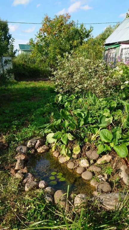 Продажа дома, Чухолово, Шаховской район - Фото 5