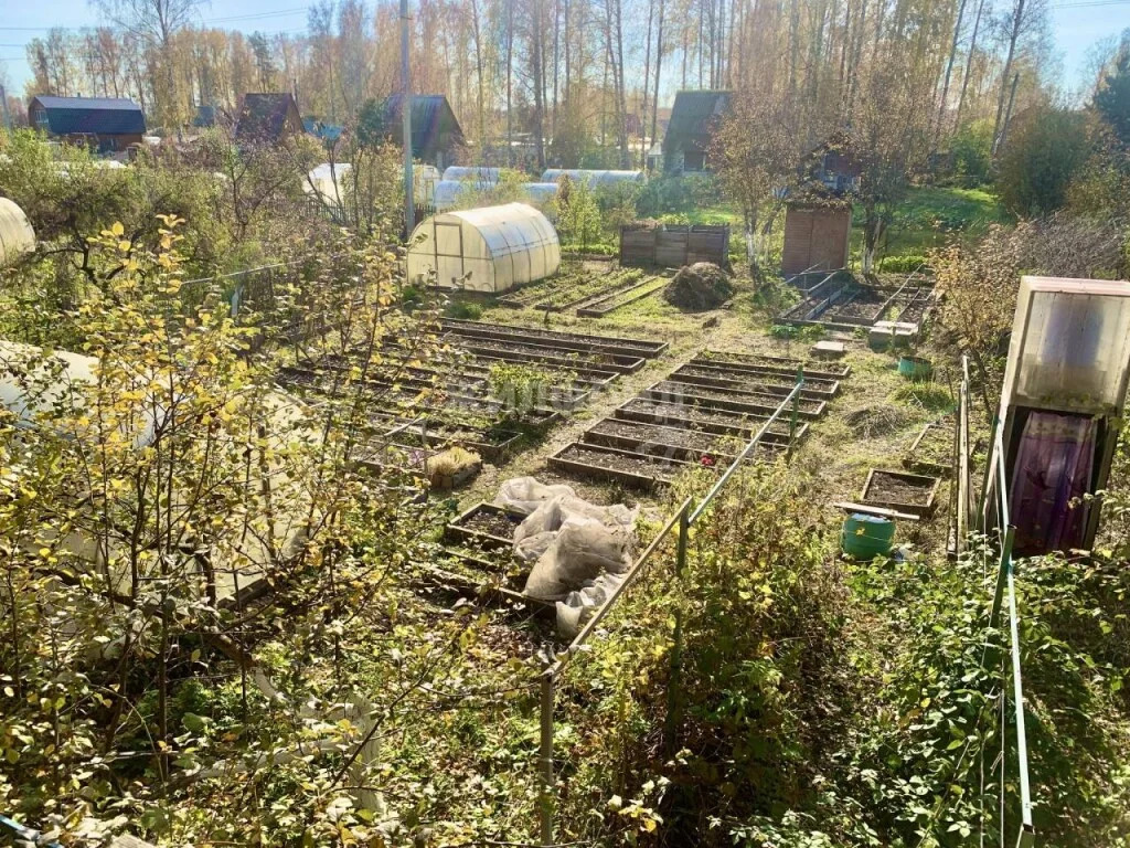 Продажа дома, Новосибирск, снт Колос - Фото 9
