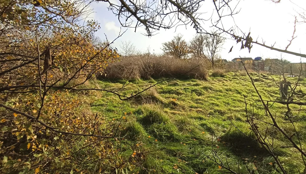 Продажа участка, Белый, Темрюкский район, ул. Лермонтова - Фото 3