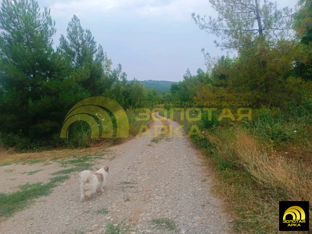 Продажа участка, Чибий, Северский район - Фото 8