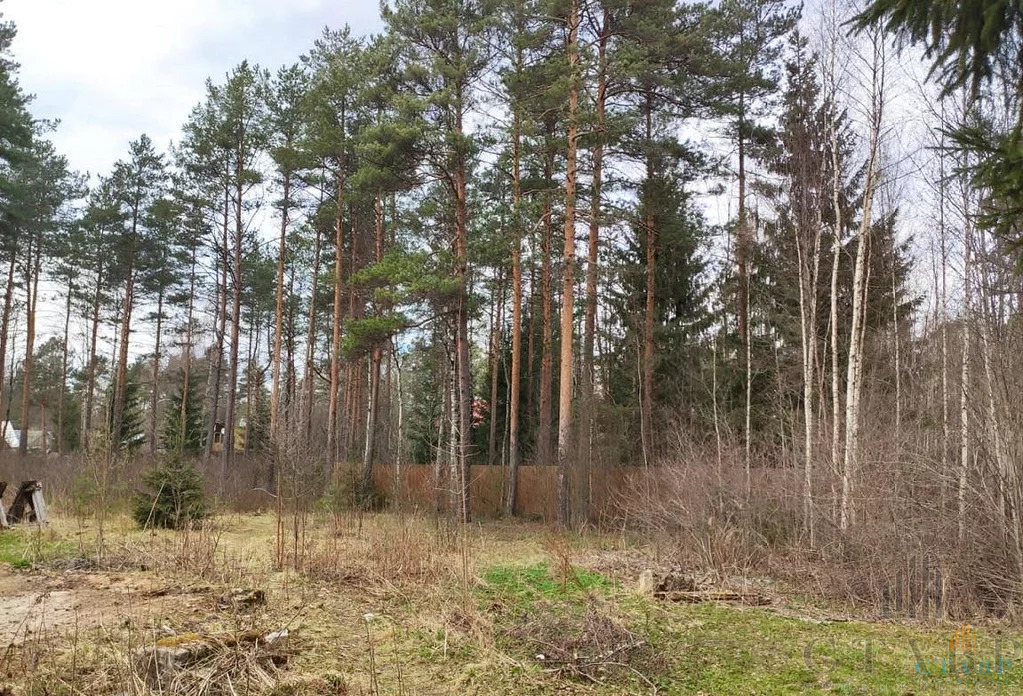 Продажа участка, Вырица, Гатчинский район, Урицкого пр-кт. - Фото 2
