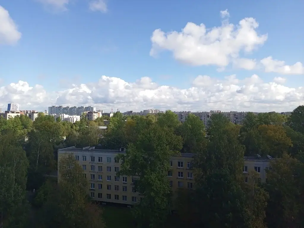 В продаже 2 к.кв с мебелью и техникой рядом с сосновым лесопарком - Фото 32