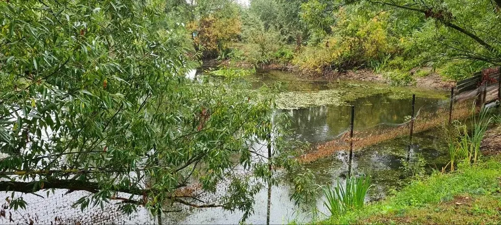 Участок у пруда на Рублевке в Шульгино - Фото 9