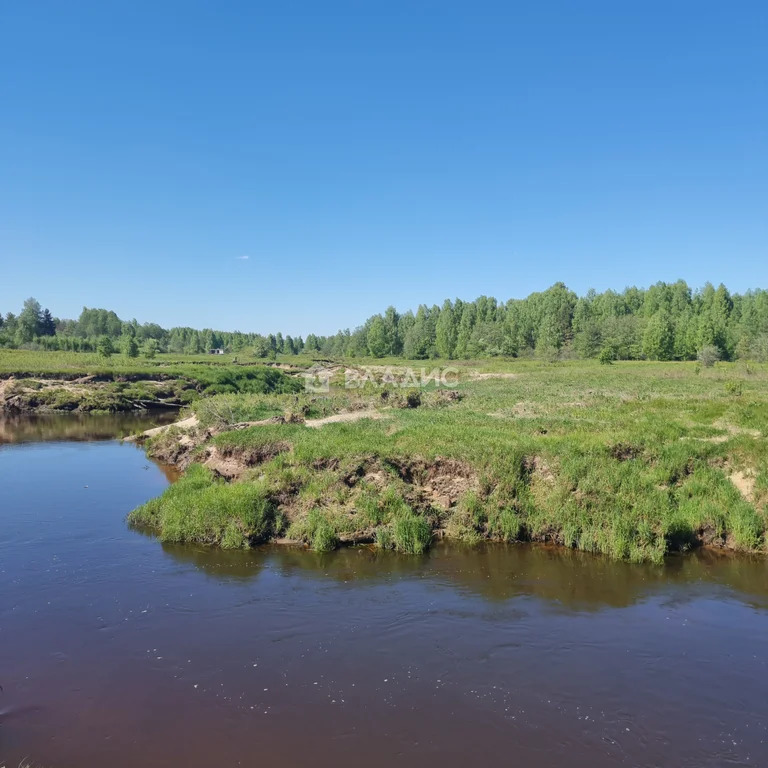 Судогодский район, деревня Исаково,  земля на продажу - Фото 0