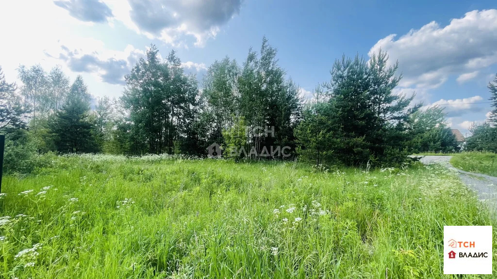 Продажа участка, Ямкино, Богородский г. о. - Фото 5