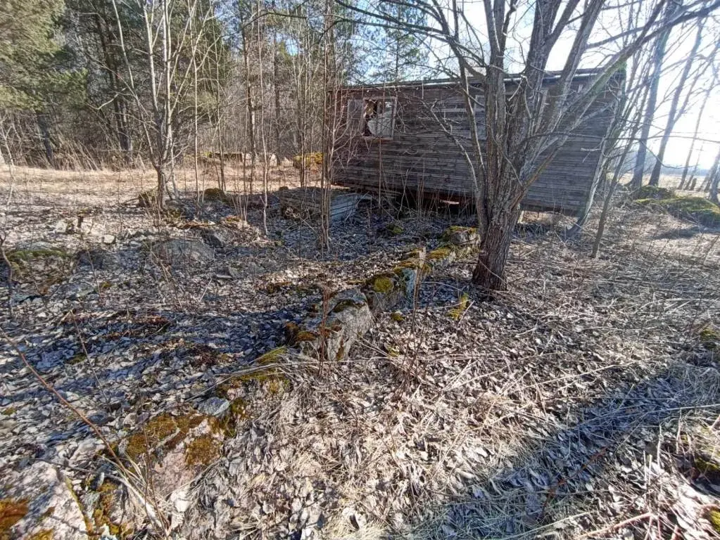 Участок в 100 м от озера Губановское - Фото 19