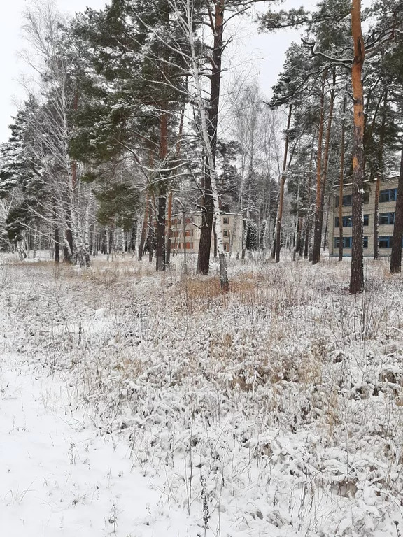 Продажа ПСН, Колодезское, Задонский район, ул. Солнечная - Фото 12