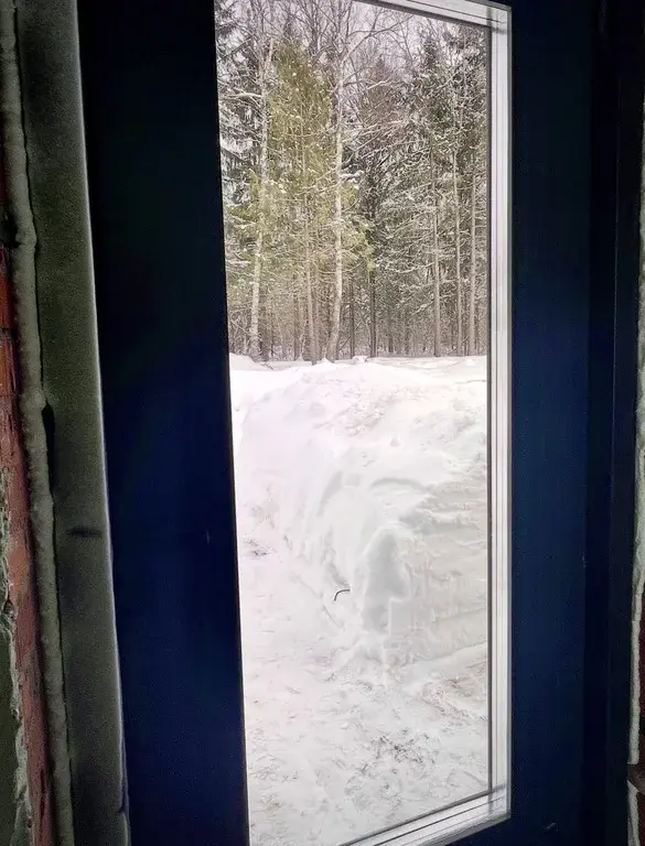 Продам дом в КП Первый Пионерский - Фото 4