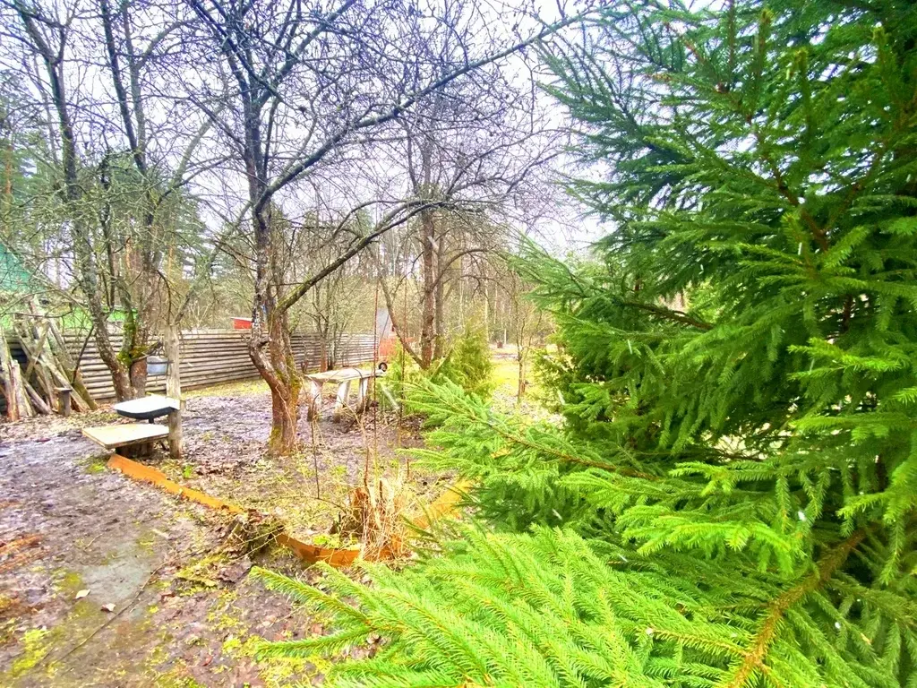 Дача в СНТ Некрасовка - Фото 4