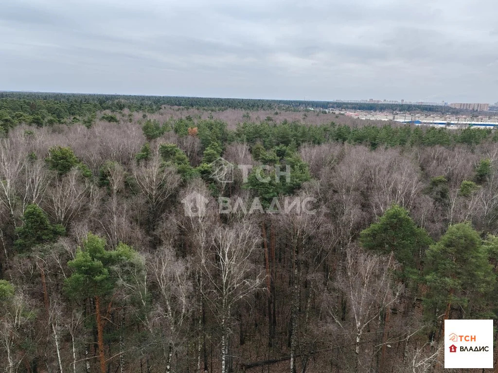 Продажа квартиры, Ивантеевка, Центральный проезд - Фото 22