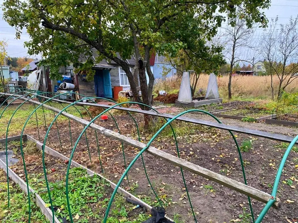 Участок на улице Механизаторов - Фото 3