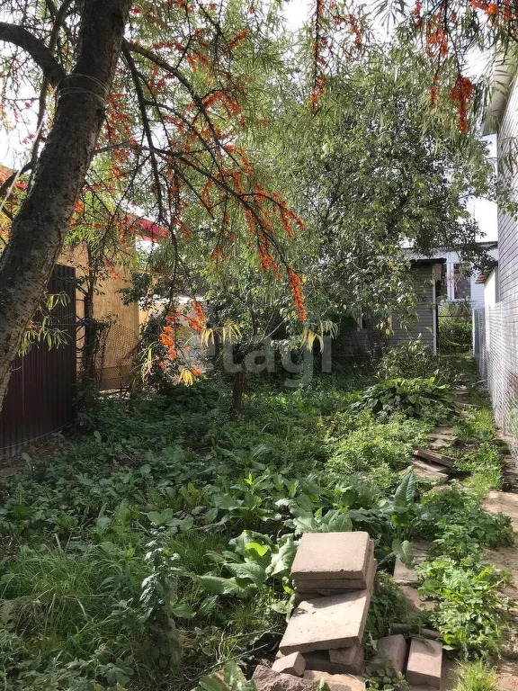 Продажа участка, Архангельское, Красногорский район, , 1 - Фото 3