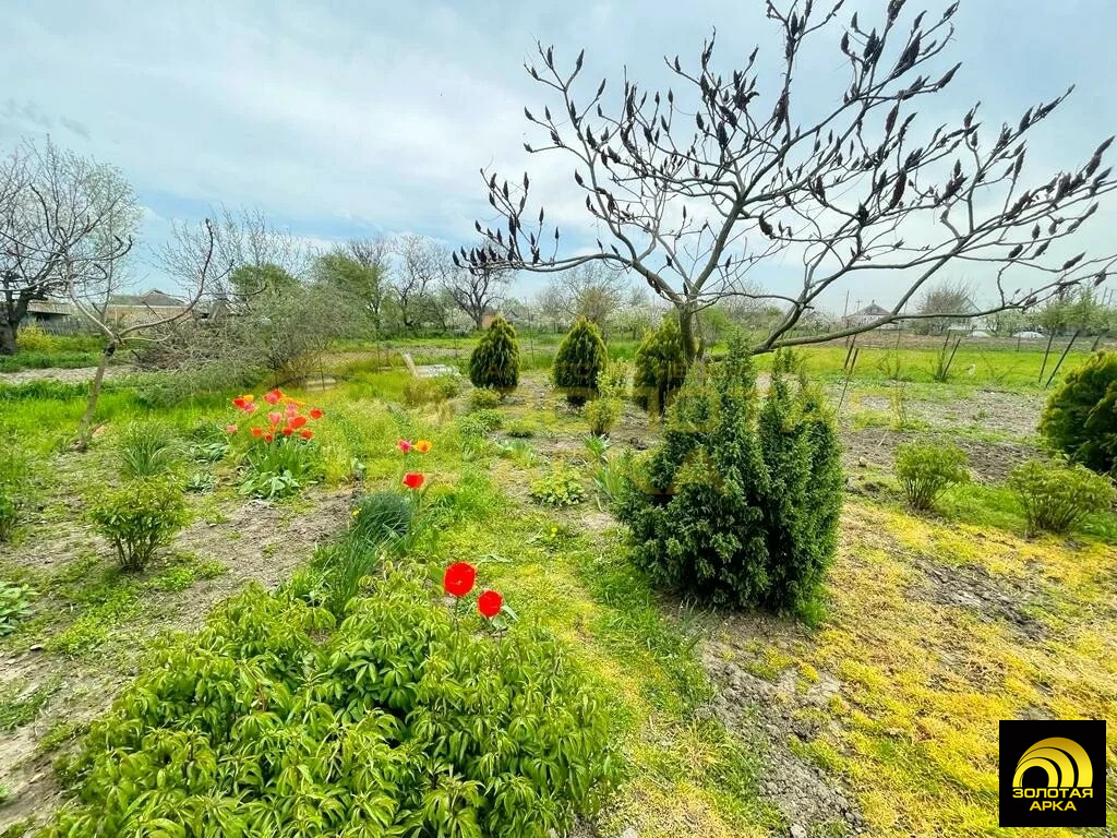Продажа дома, Старонижестеблиевская, Красноармейский район - Фото 3