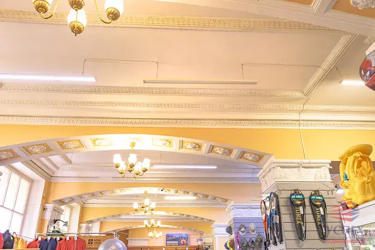 Уникальное коммерческое помещение г. Жуковский, ул. Пушкина, д. 8 - Фото 7