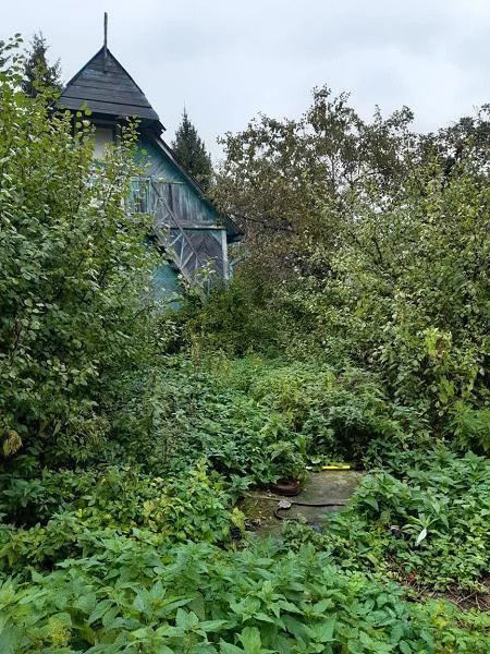 Брусовый дом на территории Садового товарищества «Труд» в Икше - Фото 7