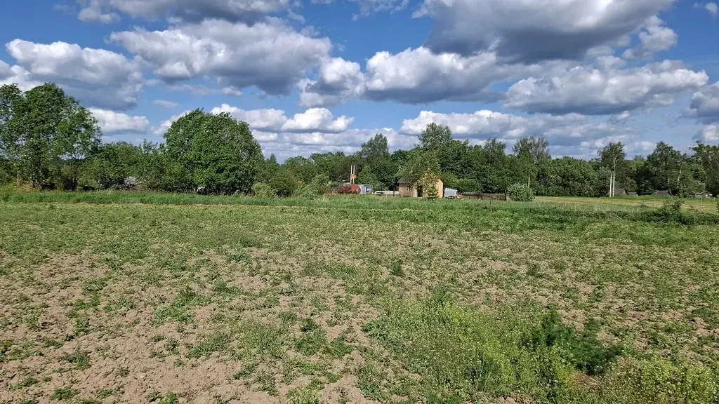 Земельный участок с. Якоть. Участок 10 соток - Фото 1