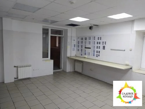 Помещение свободного назначения на цокольном многоквартирного жилого д - Фото 64