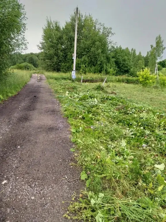 Участок в деревне, в тихом месте - Фото 2