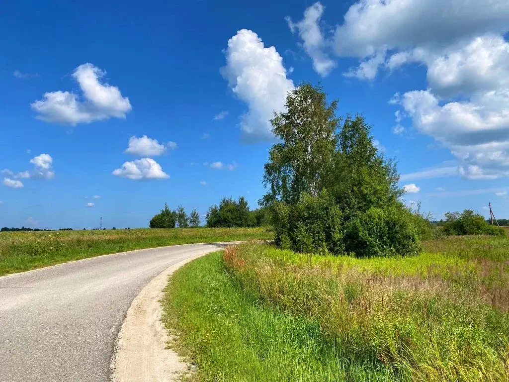 Дом в деревне Мосягино - Фото 25