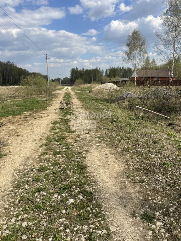 Продажа участка, Алешня, Ленинский район, ул. Центральная - Фото 4