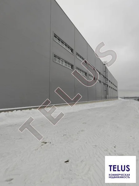 МО, Дмитров г.о., пос.свх. Останкино, Дорожная ул.,, 5450 м2, Склад на ... - Фото 7