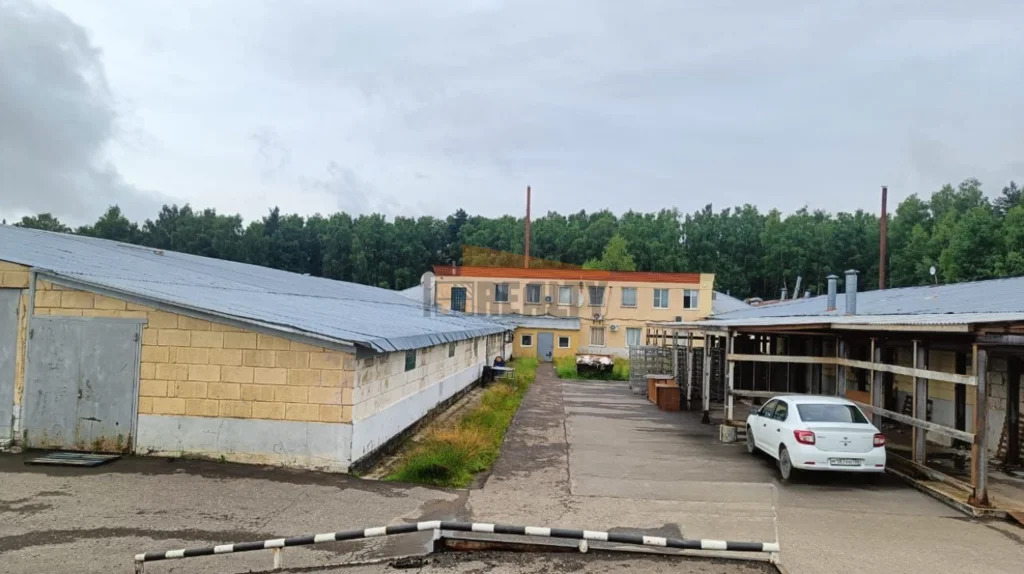 Аренда производственного помещения, Наро-Фоминск, Наро-Фоминский район - Фото 1