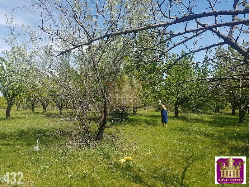 Участок в белогорском районе. Верхние Орешники Белогорский район Крым.