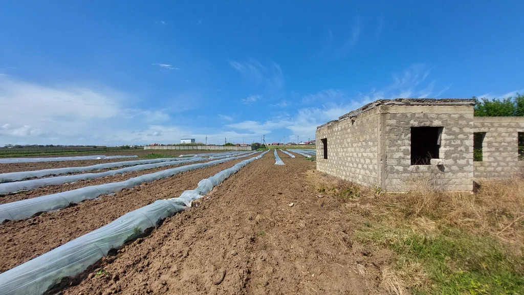 Продажа участка, Голубицкая, Темрюкский район, ул. Жеребцовой - Фото 0