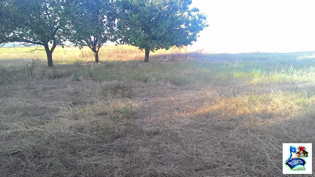 Продам старенький дом с большим участком земли возле моря. - Фото 4