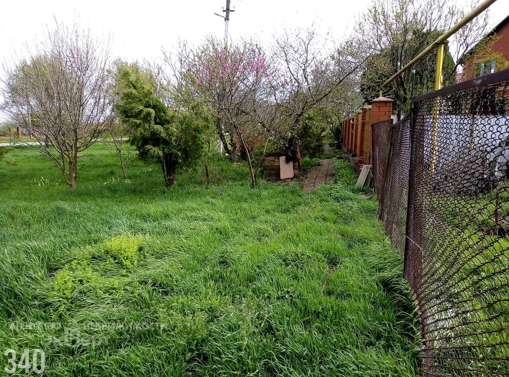 Погода в калининском районе хуторе бойкопонура. Хутор Бойкопонура. Хутор Бойкопонура Краснодарский край. Бойкопонура Краснодарский край.