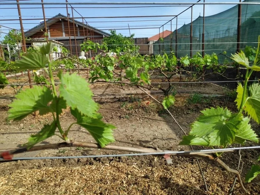 Продажа участка, Севастополь, территория СТ Сапун-гора - Фото 1