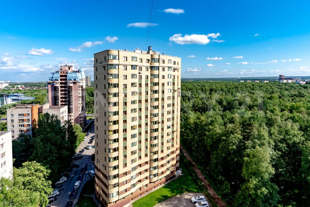 Продажа квартиры, м. Проспект Ветеранов, Ветеранов пр-кт. - Фото 21