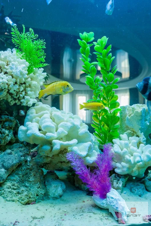 Продажа квартиры, Казань, ул. Федосеевская - Фото 14