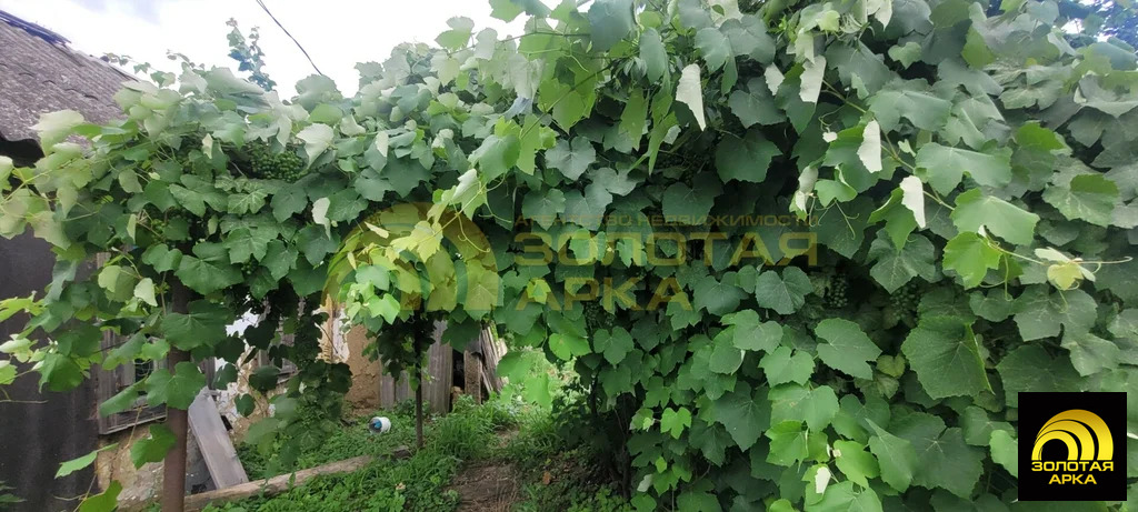 Продажа дома, Ананьевский, Северский район - Фото 15