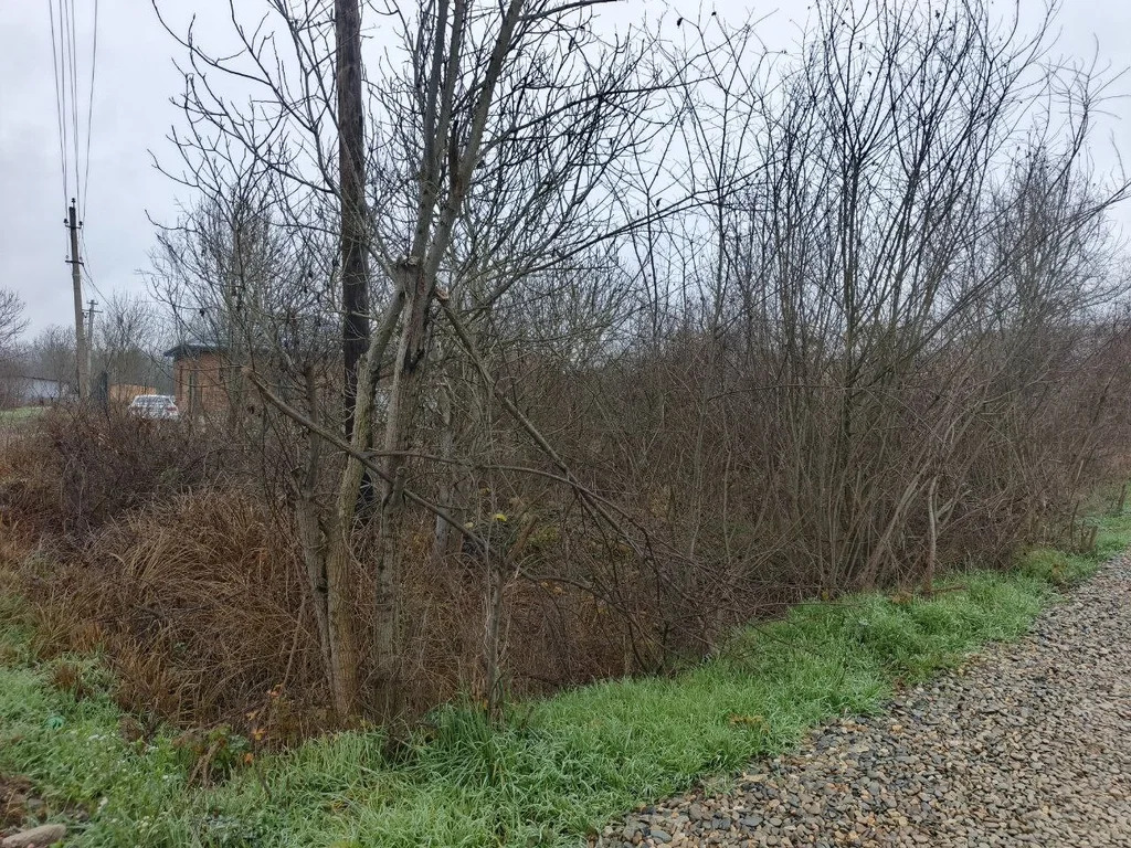 Продажа участка, Северский район - Фото 5