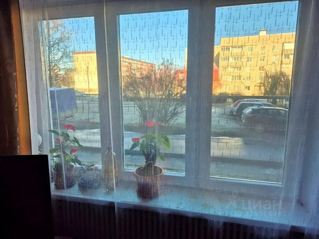 Продаю двухкомнатную квартиру 55.0м Московская область, Зарайск ... - Фото 13