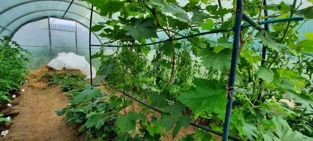 Дом в деревне Тимохино - Фото 36