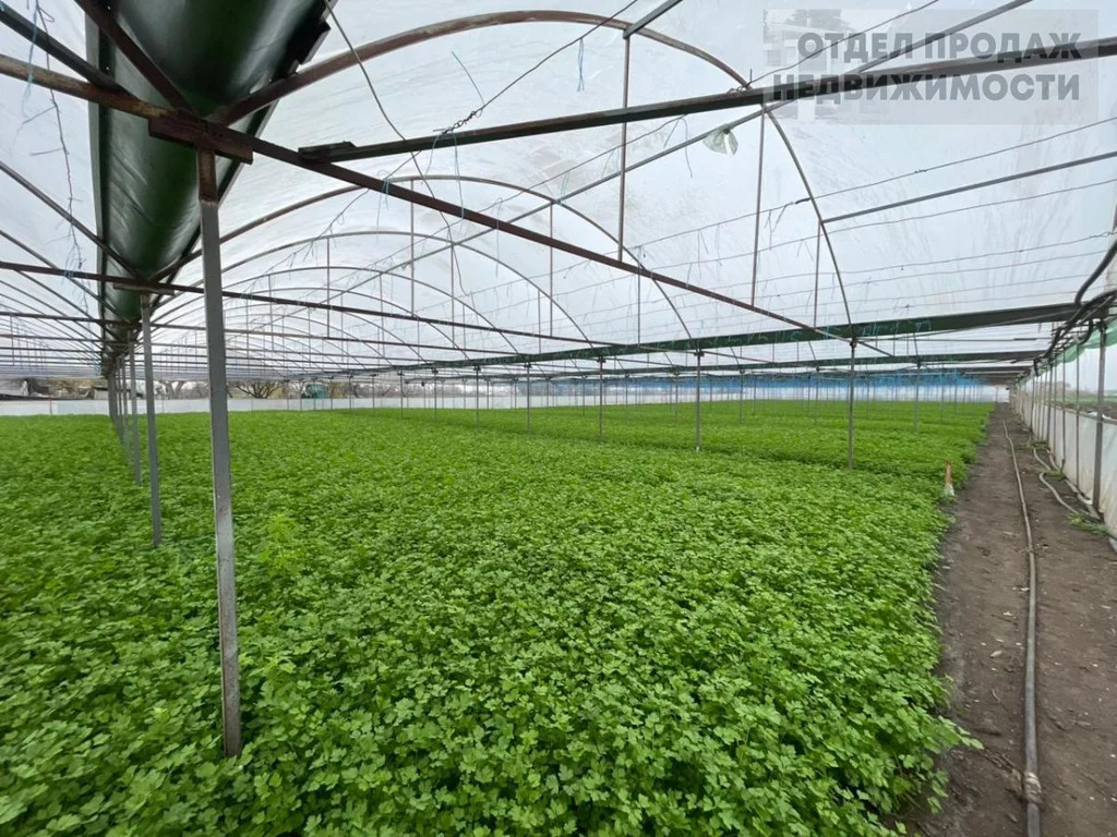 Участок с готовым бизнесом - Фото 2