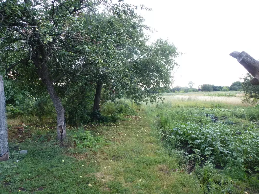 Пос пролетарский белгородской