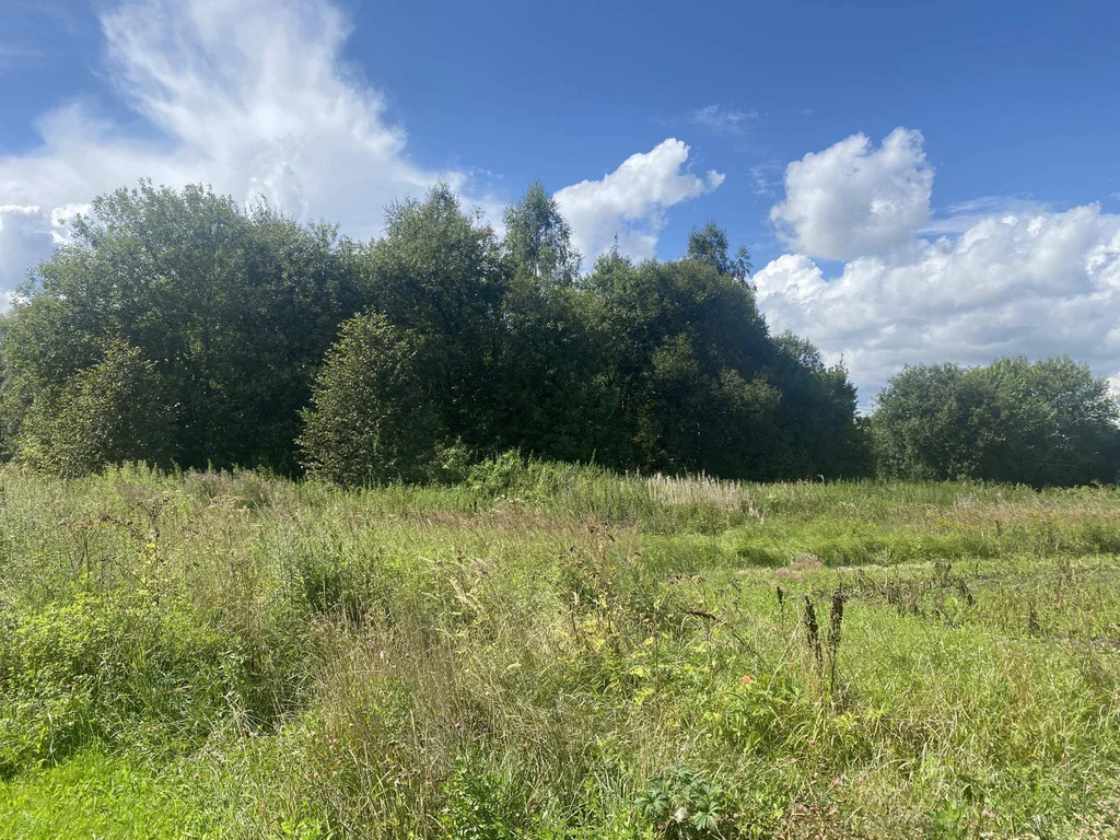 Продается земельный участок 20.269 сот. - Фото 3