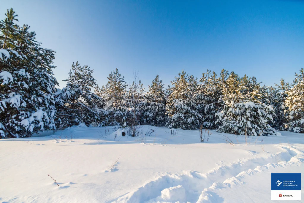 Продажа участка, Рязанский район, Ясная улица - Фото 6