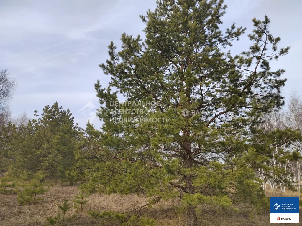 Продажа участка, Рязанский район - Фото 2