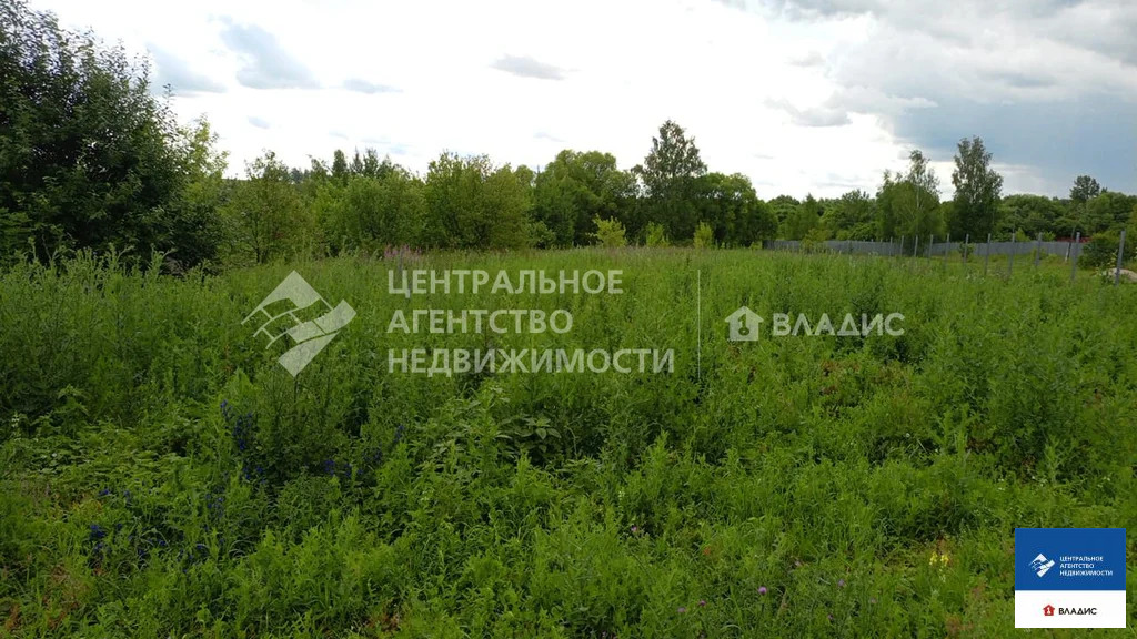 Продажа участка, Федоровка, Михайловский район - Фото 1