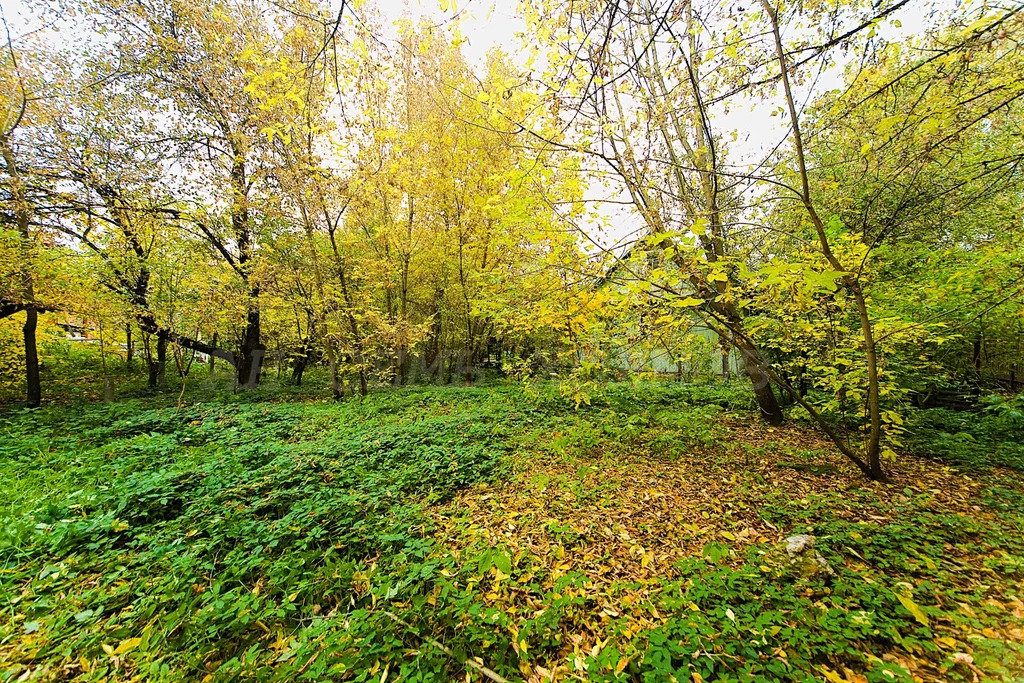 Продажа участка, Загорянский, Щелковский район, ул. Матросова - Фото 3