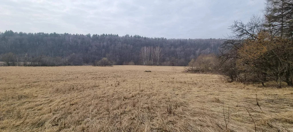 База отдыха "Лесные дали" - Фото 6