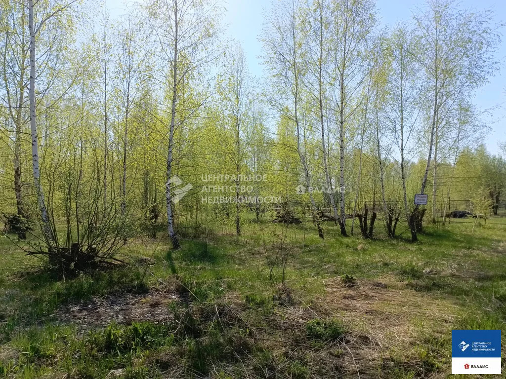 Продажа участка, Новоселки, Рязанский район, Фруктовая улица - Фото 6